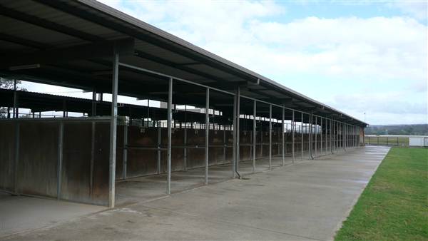 Menangle Park Paceway (28/02/2013 3:36:06 PM)