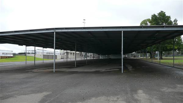 Menangle Park Paceway (28/02/2013 3:42:04 PM)