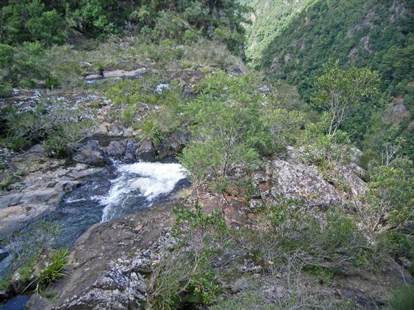 Ellenborough Falls (28/02/2013 4:35:25 PM)