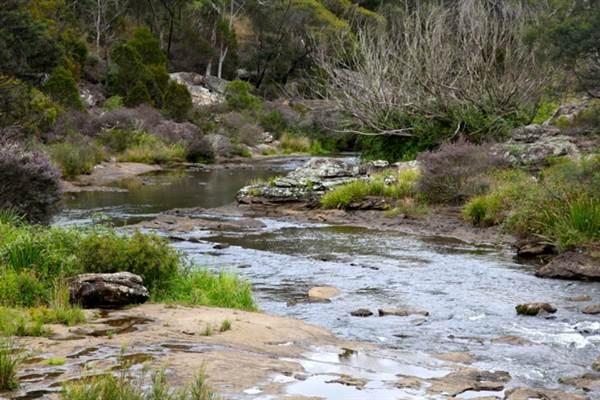 Berrima Reserve (28/02/2013 9:35:17 PM)
