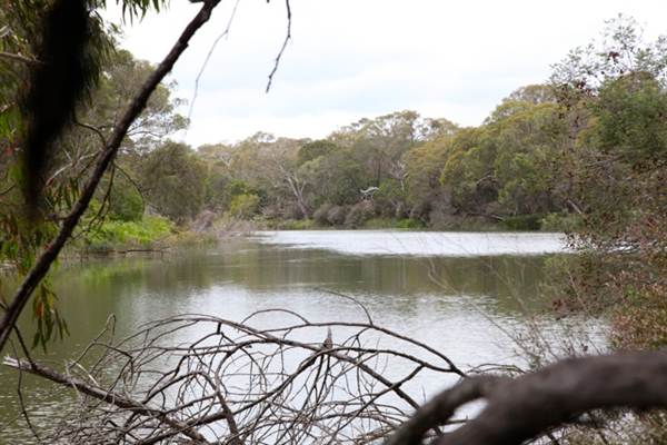Berrima Reserve (28/02/2013 9:35:32 PM)