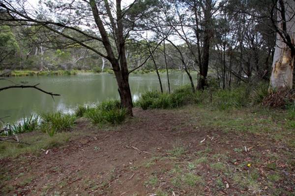 Berrima Reserve (28/02/2013 9:35:46 PM)