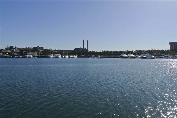 Glebe Foreshore Parks (1/03/2013 10:05:42 AM)