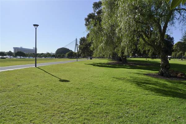 Glebe Foreshore Parks (1/03/2013 10:06:10 AM)