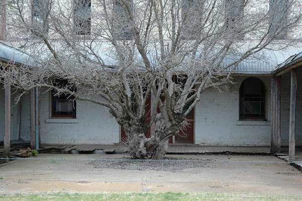 Boorowa (1/03/2013 11:29:55 AM)