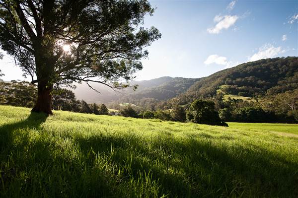 Jamberoo (1/03/2013 11:33:51 AM)