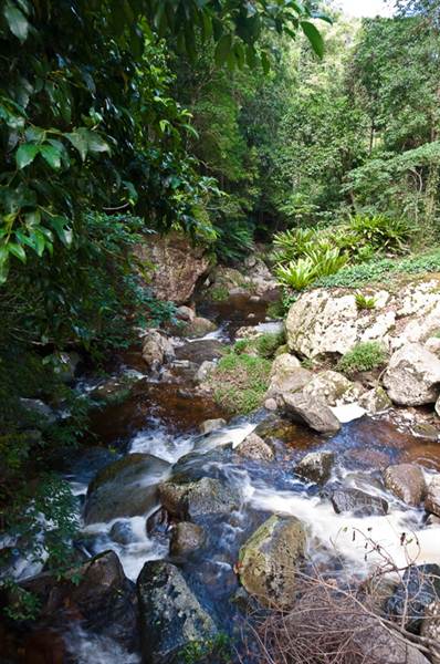 Jamberoo (1/03/2013 11:34:24 AM)