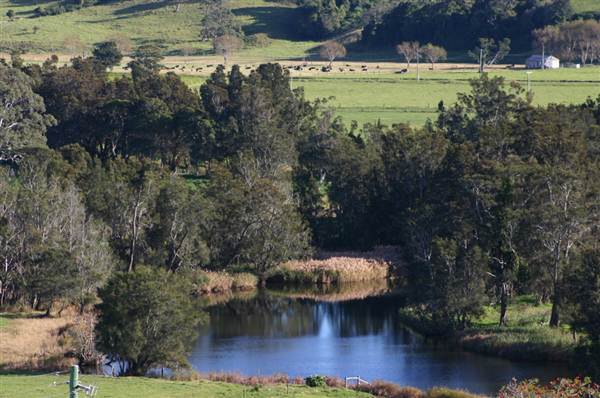 Jamberoo (1/03/2013 11:36:49 AM)