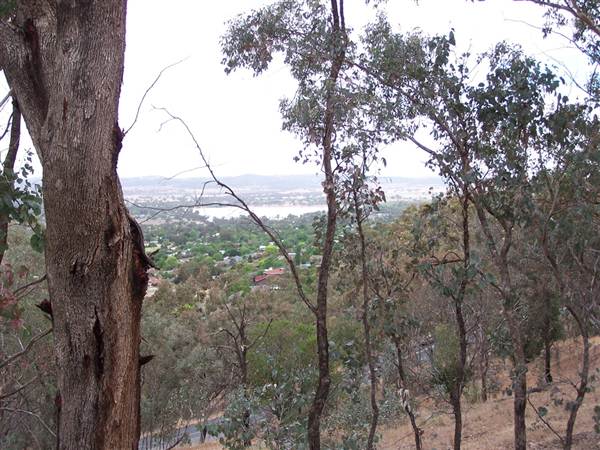 Wagga Wagga (1/03/2013 12:06:17 PM)