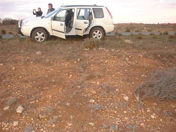 Broken Hill Area (1/03/2013 7:30:32 PM)