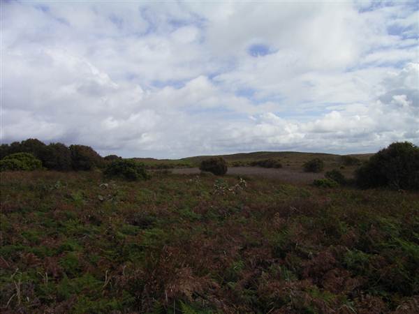 Broughton Island (2/03/2013 3:26:05 PM)
