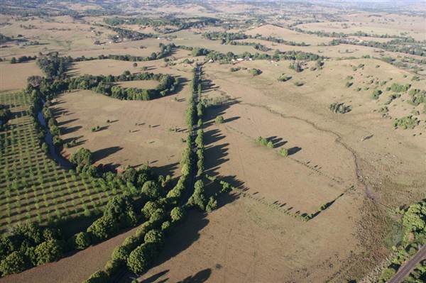 Byron Hinterland-Hot Air Balloon (2/03/2013 11:00:48 PM)