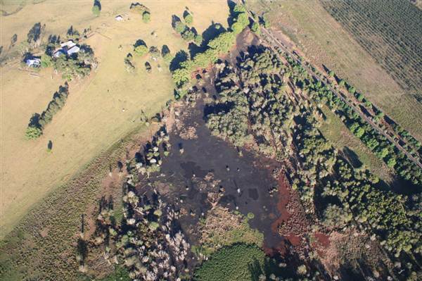 Byron Hinterland-Hot Air Balloon (2/03/2013 11:01:31 PM)