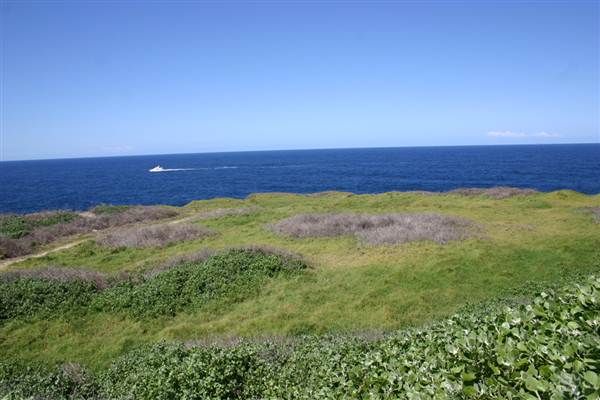 Cape Banks (3/03/2013 8:27:23 AM)