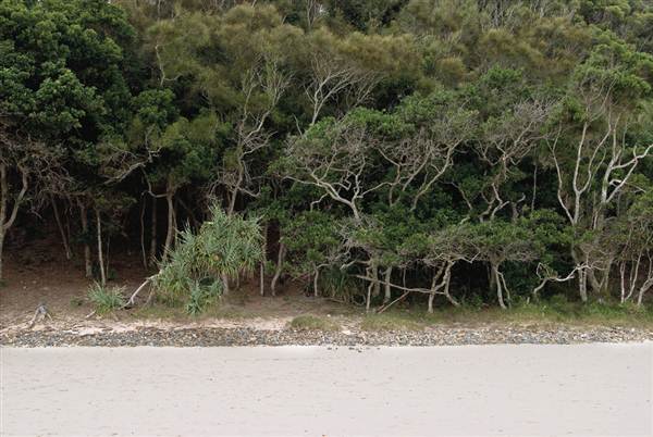 Cape Byron (3/03/2013 8:50:50 AM)
