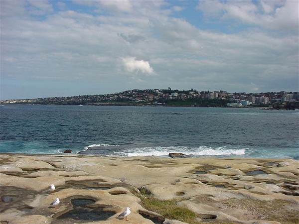 Clovelly Bay (3/03/2013 4:36:14 PM)