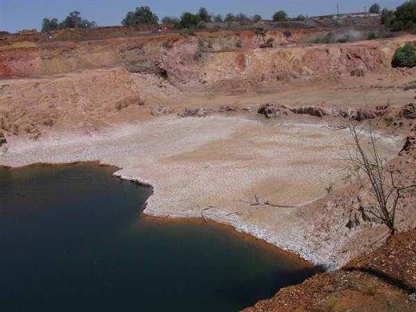 Cobar (4/03/2013 9:37:35 AM)