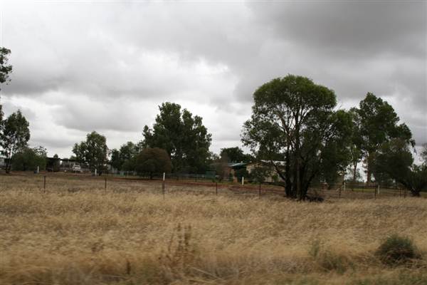 Collingullie (4/03/2013 10:37:17 AM)