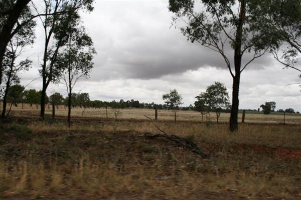 Collingullie (4/03/2013 10:37:45 AM)