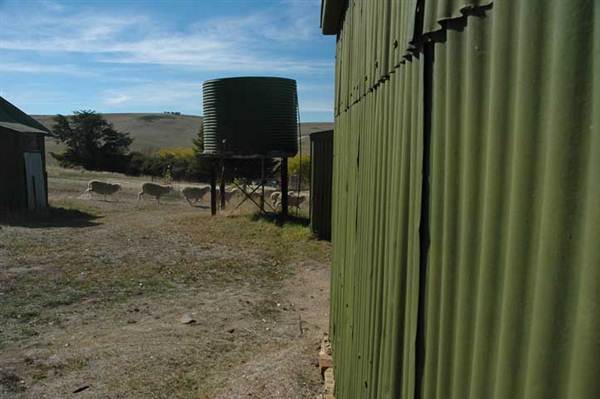 Crookwell Shearing Station (4/03/2013 11:45:44 AM)