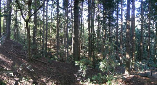 Cumberland State Forest (4/03/2013 12:05:58 PM)