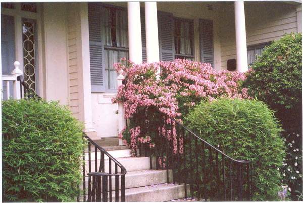Eryldene Historic House and Garden (4/03/2013 12:49:34 PM)