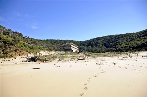 Garie Beach (4/03/2013 4:22:32 PM)