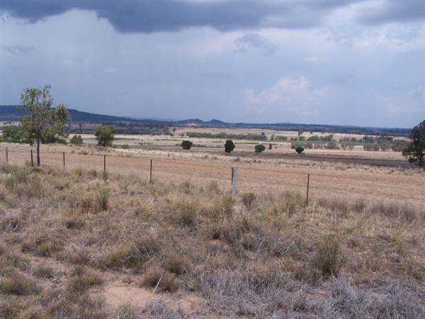 Gilgandra Rural Area (4/03/2013 4:40:22 PM)