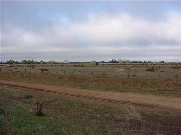 Hay Plains (5/03/2013 1:29:31 PM)