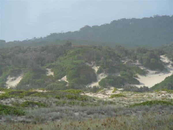 Killick Beach & Sand Dunes - Hat Head National Park (5/03/2013 7:29:56 PM)