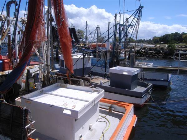 Iluka (5/03/2013 8:33:39 PM)
