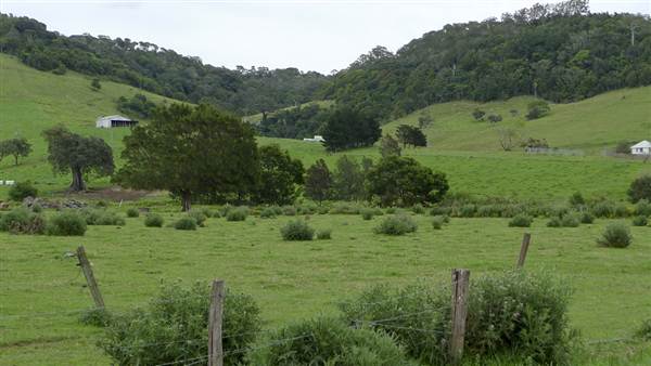 Jamberoo Browns Lane (5/03/2013 9:30:36 PM)