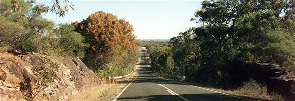 Ku-ring-gai Chase National Park (6/03/2013 11:30:57 AM)
