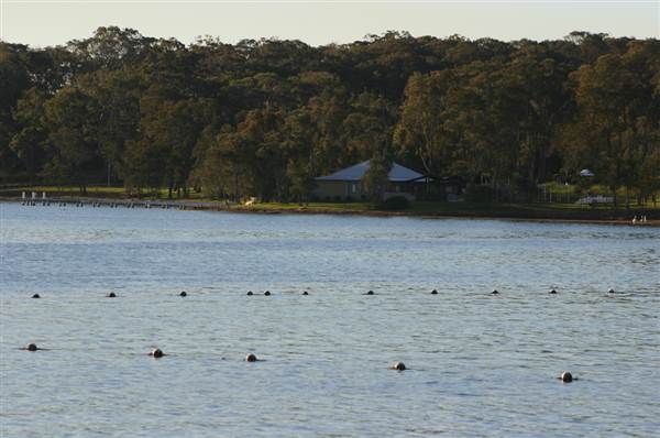 Lake Macquarie (6/03/2013 11:52:36 AM)