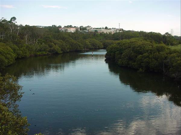 Lane Cove River (6/03/2013 12:07:18 PM)