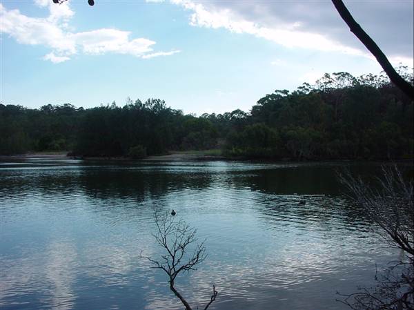 Lane Cove River (6/03/2013 12:08:56 PM)