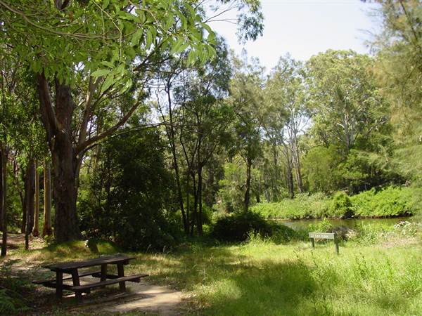 Lane Cove National Park (6/03/2013 12:10:38 PM)