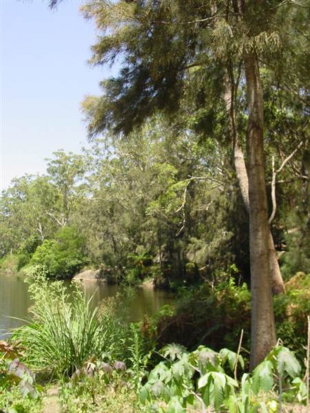 Lane Cove National Park (6/03/2013 12:11:07 PM)