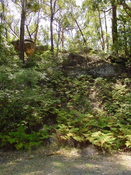 Lane Cove National Park (6/03/2013 12:13:21 PM)