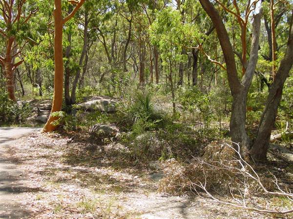 Lane Cove National Park (6/03/2013 12:13:58 PM)