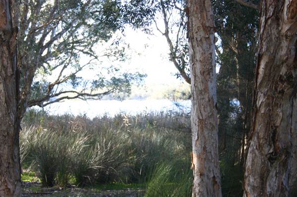 Myall Lakes National Park (6/03/2013 3:24:01 PM)
