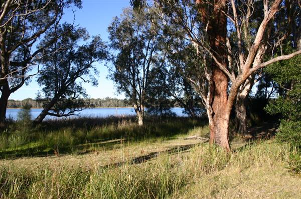 Myall Lakes National Park (6/03/2013 3:25:18 PM)