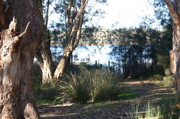 Myall Lakes National Park (6/03/2013 3:28:49 PM)