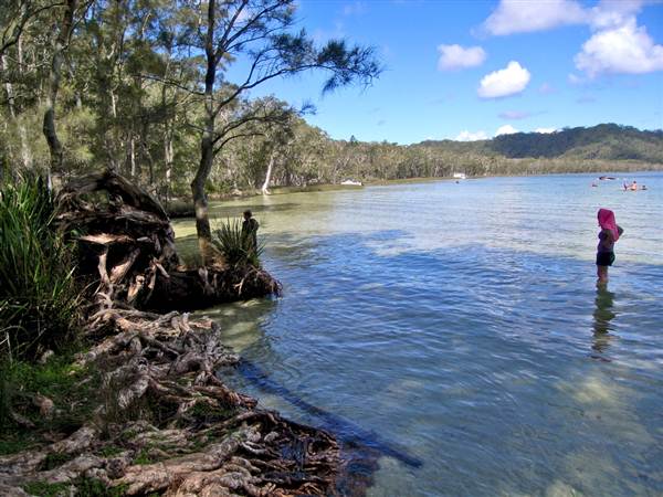 Myall Lakes National Park (6/03/2013 3:31:47 PM)