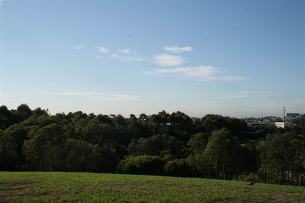 Sydney Park (6/03/2013 4:43:57 PM)