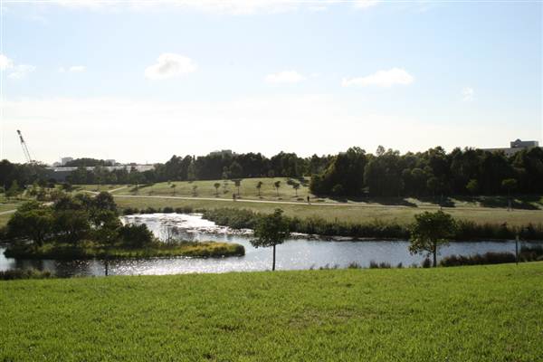 Sydney Park (6/03/2013 4:45:43 PM)