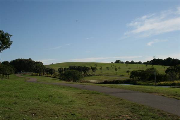 Sydney Park (6/03/2013 4:46:11 PM)