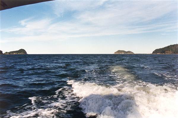 Lion Island (6/03/2013 9:37:22 PM)