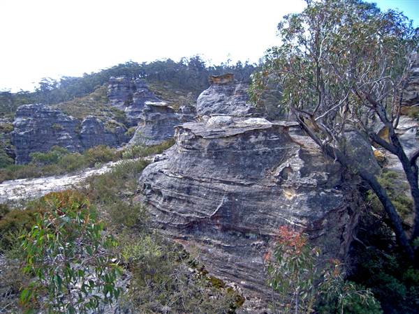 Lithgow Cliffs (7/03/2013 9:39:13 AM)