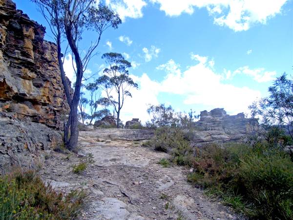 Lithgow Cliffs (7/03/2013 9:39:52 AM)